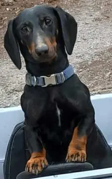 Fynn, Olsberg