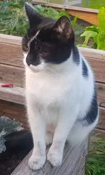 Sally, Schlüchtern