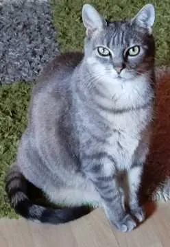 Emma, Gelnhausen