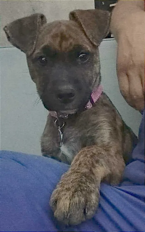Mila, Altmärkische Höhe