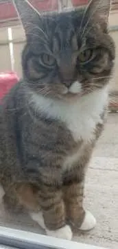 Luna, Bad Arolsen