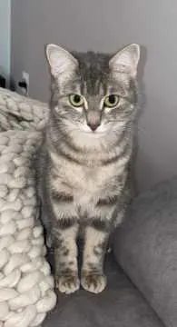 Lia, Brühl