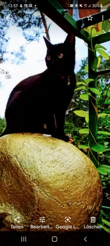 Bella, Isernhagen Farster Bauerschaft