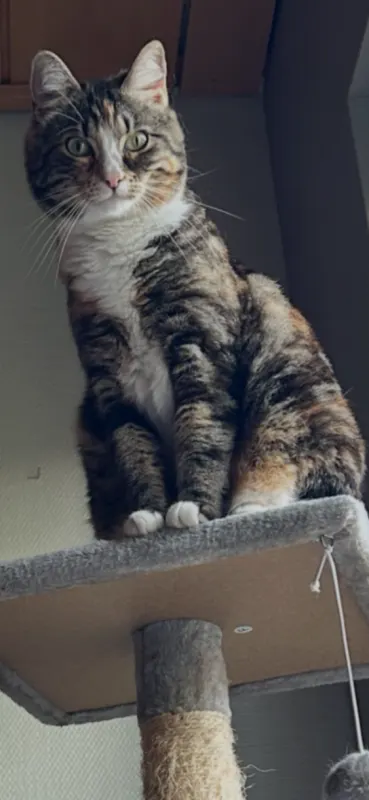 Mizi, Bad Oeynhausen