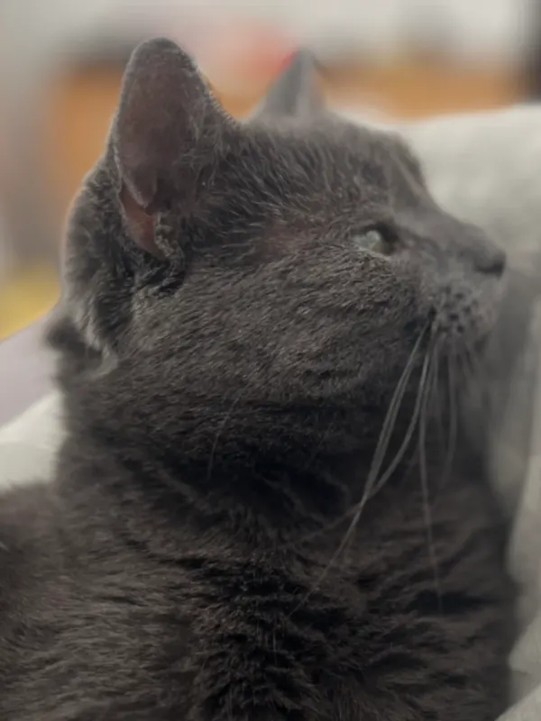 Cleo, Traunreut