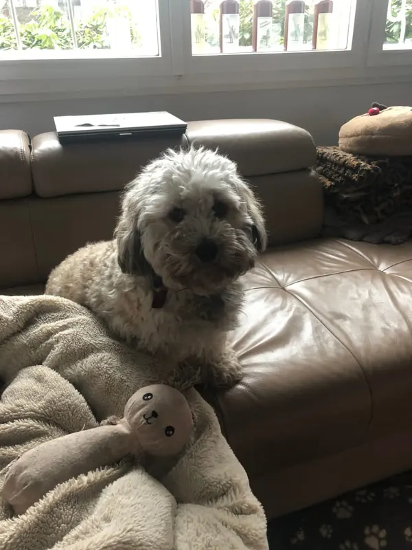 Wilma, Velbert