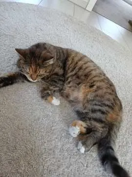 Milou, Rietberg