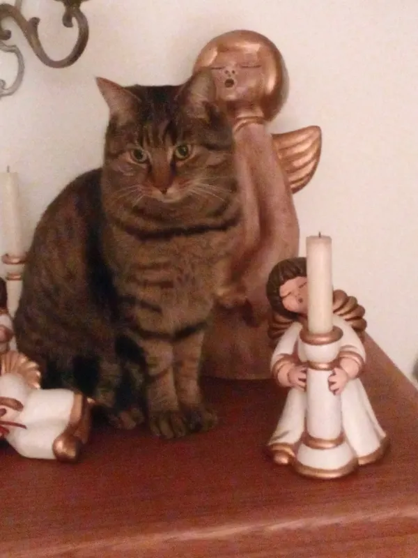 Kiki, Füssen