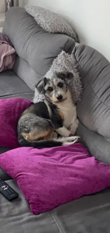 Max, Würzburg