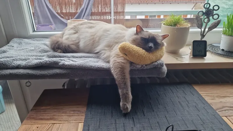 Yuna, Holzkirchen