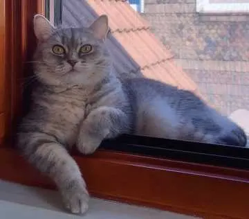 Maya, Wuppertal