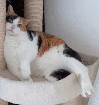 Lilly Mäuschen, Wilhelmshaven