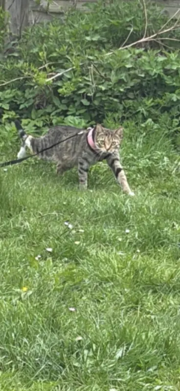 Chloe, Marburg an der Lahn