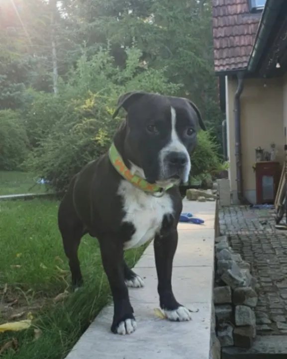 Diego, Weimar