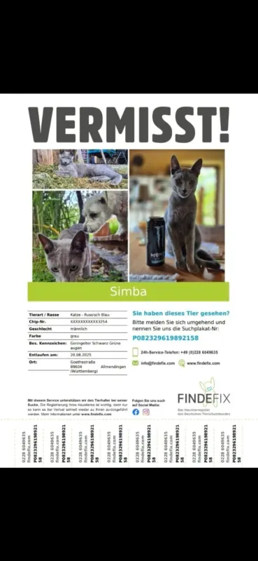 Simba, Ehingen