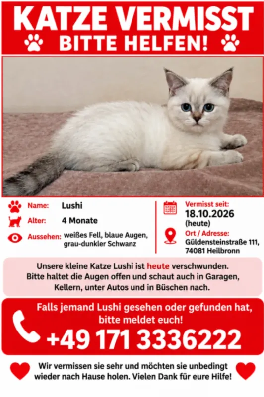 Lusi, Heilbronn