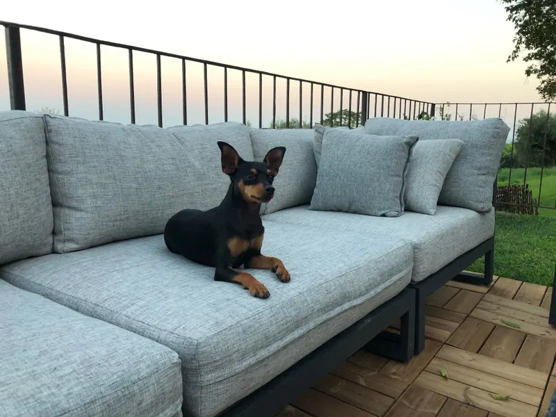 Tyson, Heilbronn