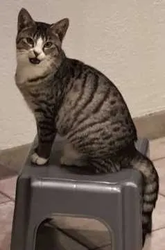 Toffifee, Bad Staffelstein