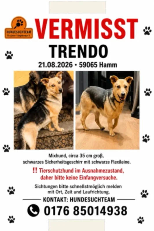 Trendo, Hamm