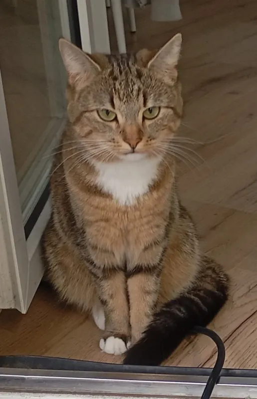 Lily, Kiel