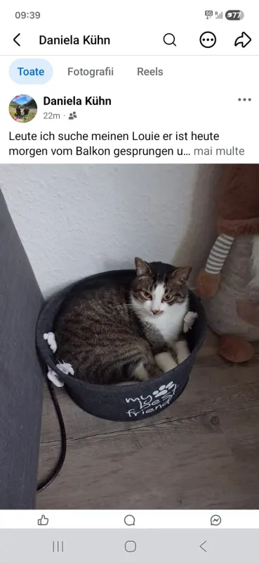 Louie, Kiel