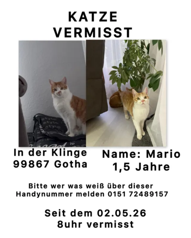 Mario, Gotha