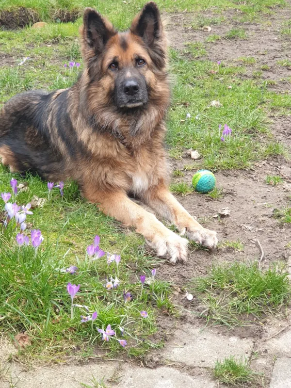 Lotti, Kiel
