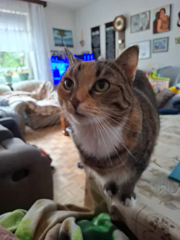 Mia, Wunstorf