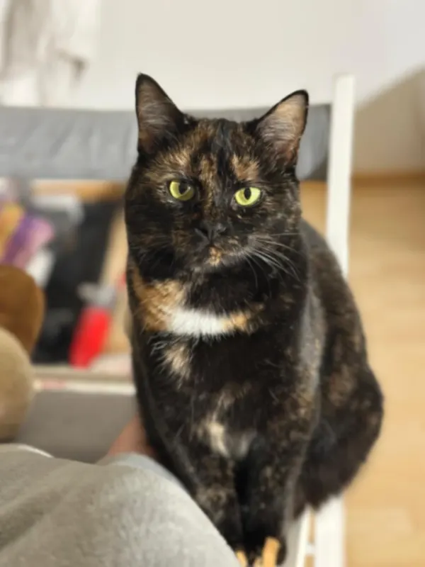 Lola, Unterhaching