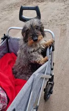 Luka, Mittenwalde