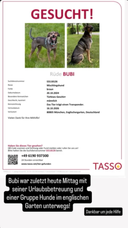 Bubi, Bogenhausen