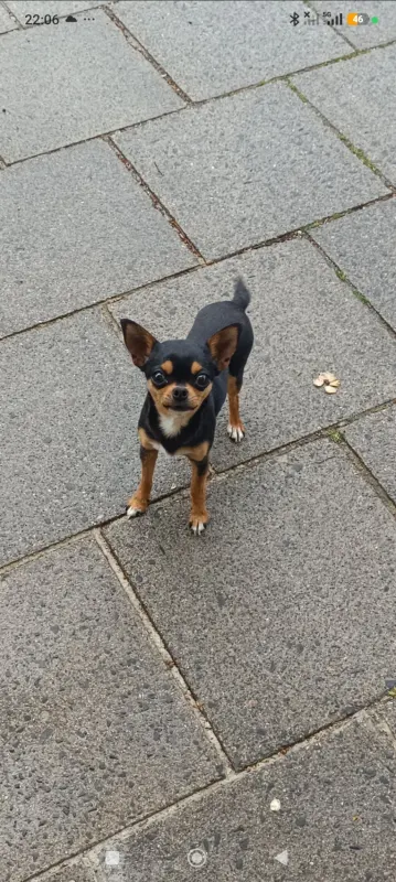 Emmy, Bogenhausen
