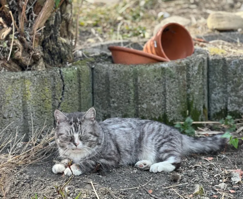 Emily, Bönen