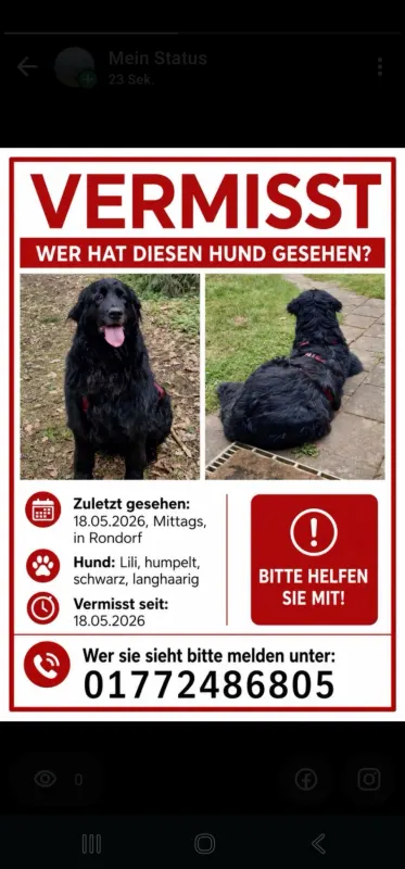 Lilly, Rodenkirchen