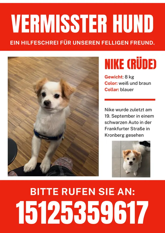 Nike, Kronberg