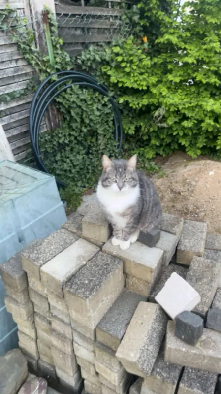 Malou, Krefeld