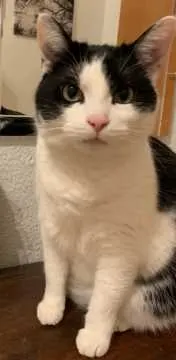 Lola, Wurzen