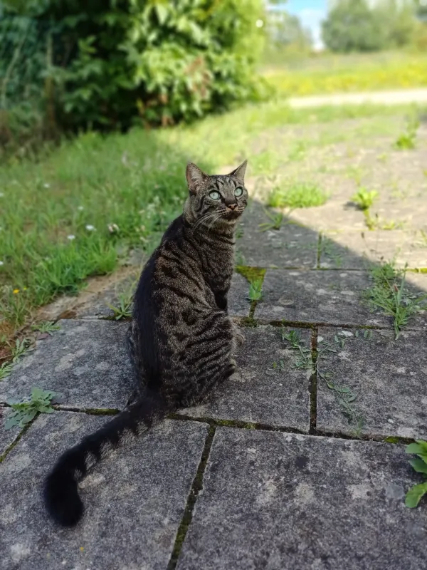 Roxy, Regensburg