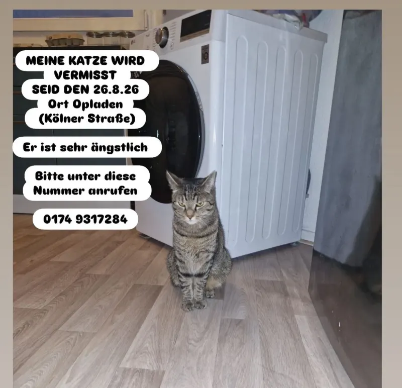 Bruno, Opladen