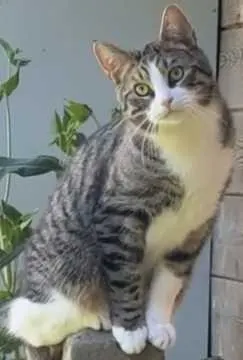 Coco, Gronau (Westf.)