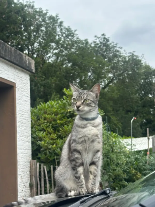 Minnie, Lohmar