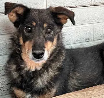 Mia, Fahrenzhausen
