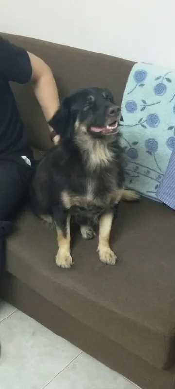 Nana, Görlitz