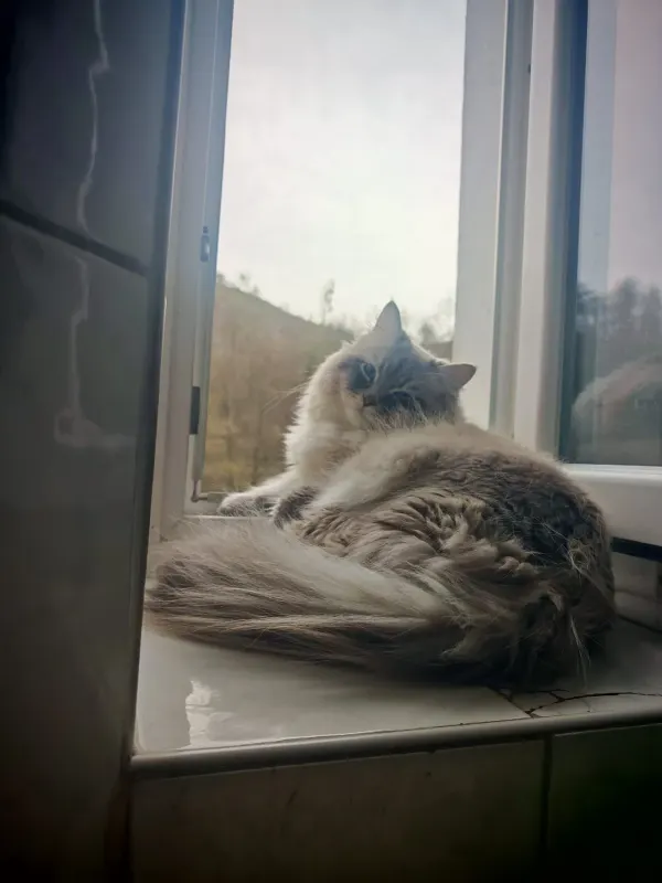 Oscar, Lüdenscheid
