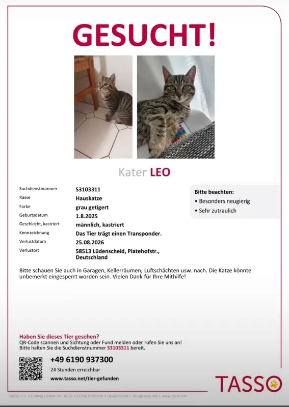Leo, Lüdenscheid