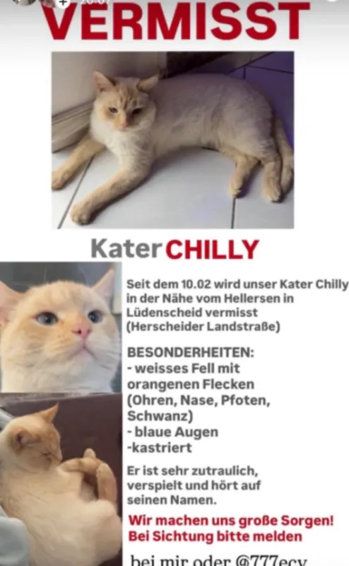 Chilly, Lüdenscheid
