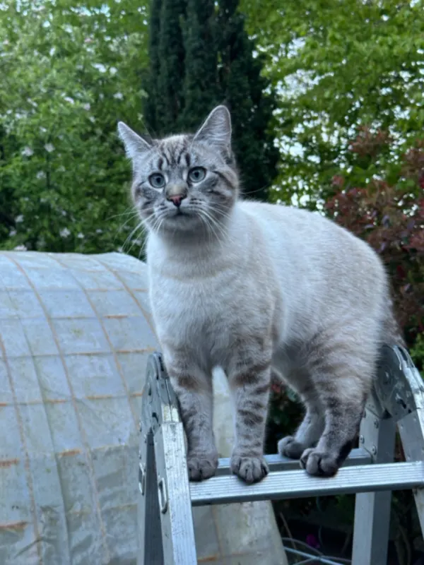 Tim, Cloppenburg