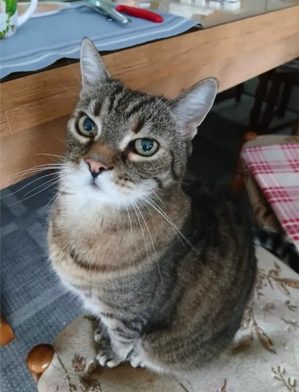 Sammy / Motzi 0177 4369059, Hückelhoven