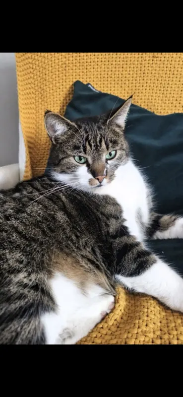 Max, Duderstadt