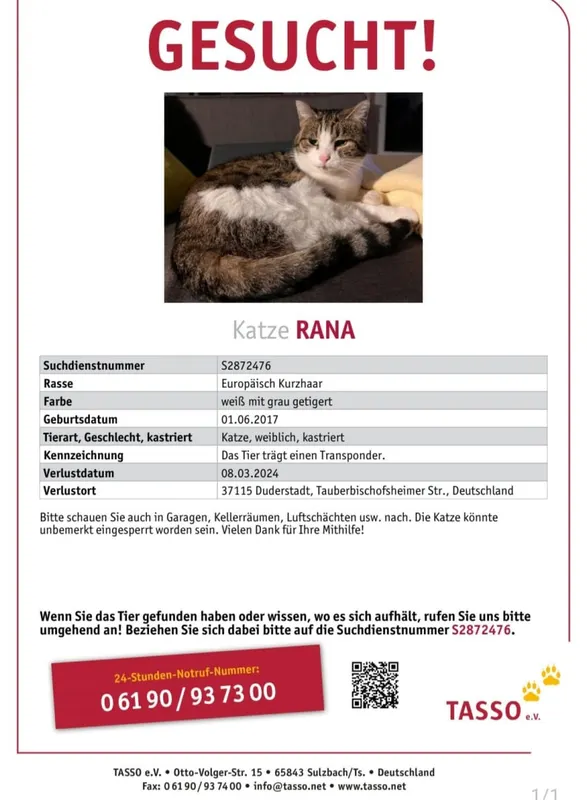Rana, Duderstadt